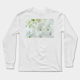 Gladiolus  'White Friendship' Long Sleeve T-Shirt